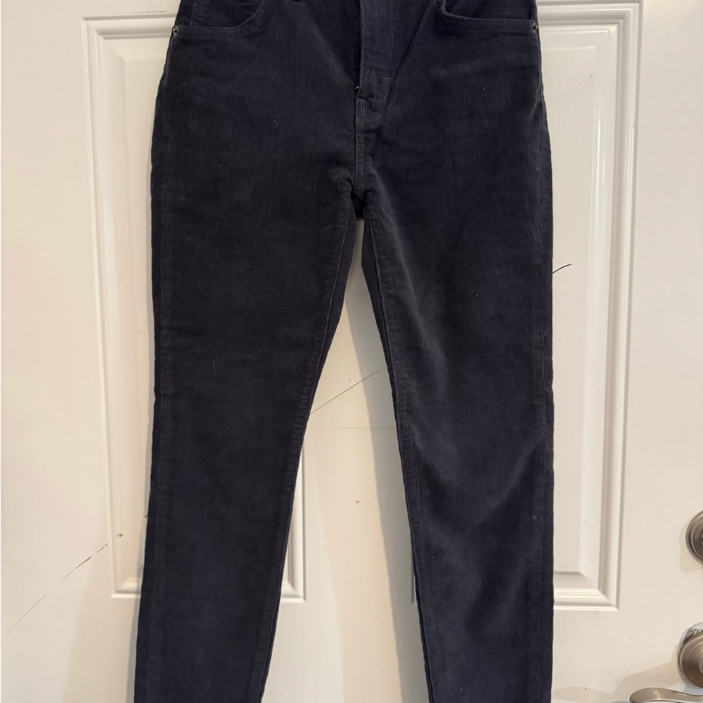 Women’s Patagonia Women's Corduroy Pants - 24 NWT